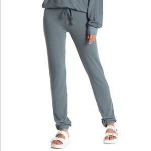Wildfox Malibu Sweatpants In Vision Blu